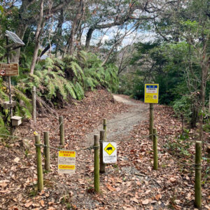 福岡県福岡市-篠栗九大の森の入り口（撮影日：2025年1月8日）