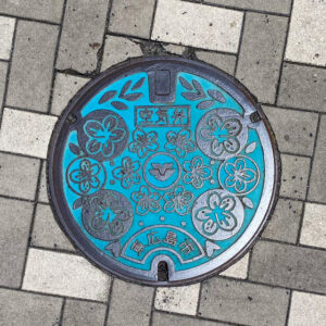 広島県東広島市-西条酒蔵通りマンホール（撮影日：2024年8月23日）
